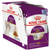 Royal Canin Cat Sensory Smell Jelly Adult Wet Food Pouches 85g x 12^^^-Habitat Pet Supplies