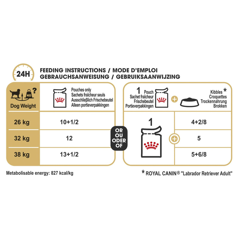 Royal Canin Dog Labrador Retriever Wet Food Pouch 140g^^^