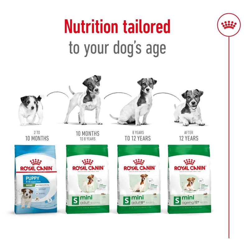 Royal Canin Dog Mini Adult 8+ Dry Food 2kg