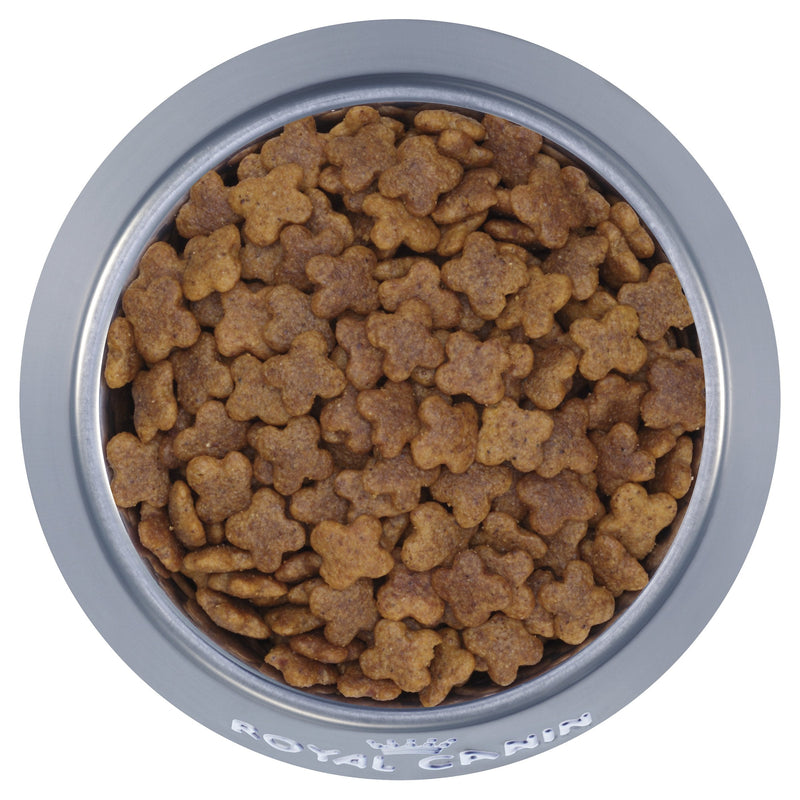 Royal Canin Dog Mini Adult Dry Food 4kg*~*