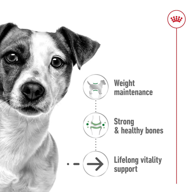 Royal Canin Dog Mini Ageing 12+ Dry Food 1.5kg