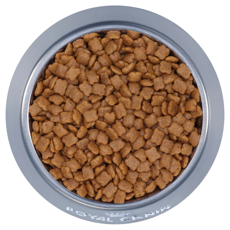 Royal Canin Kitten Dry Food 2kg^^^