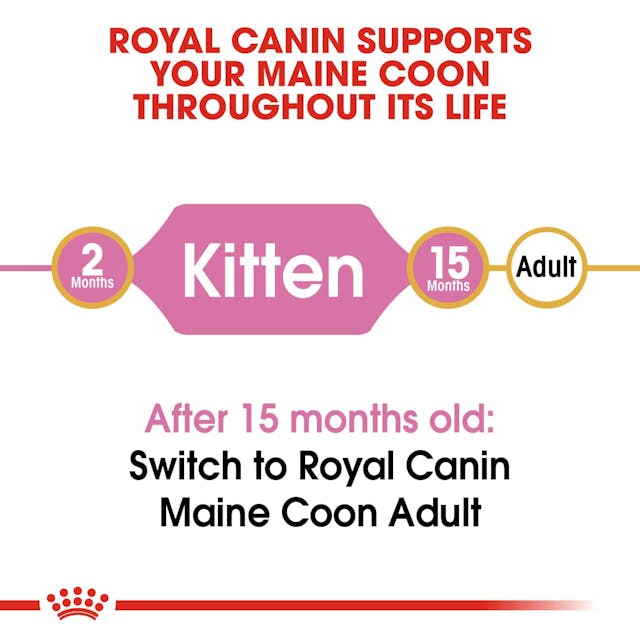 Royal Canin Maine Coon Kitten Dry Food 2kg*~*