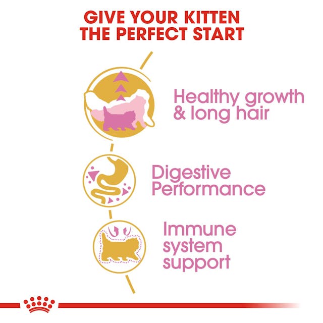 Royal Canin Persian Kitten Dry Food 2KG*~*