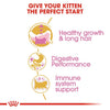 Royal Canin Persian Kitten Dry Food 2KG<3 <3 <3