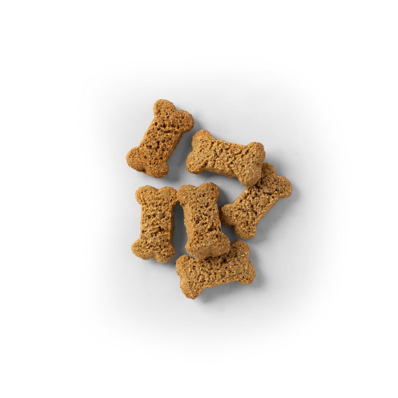 SavourLife Australian Kangaroo Biscuits Dog Treats 500g<3<3<3