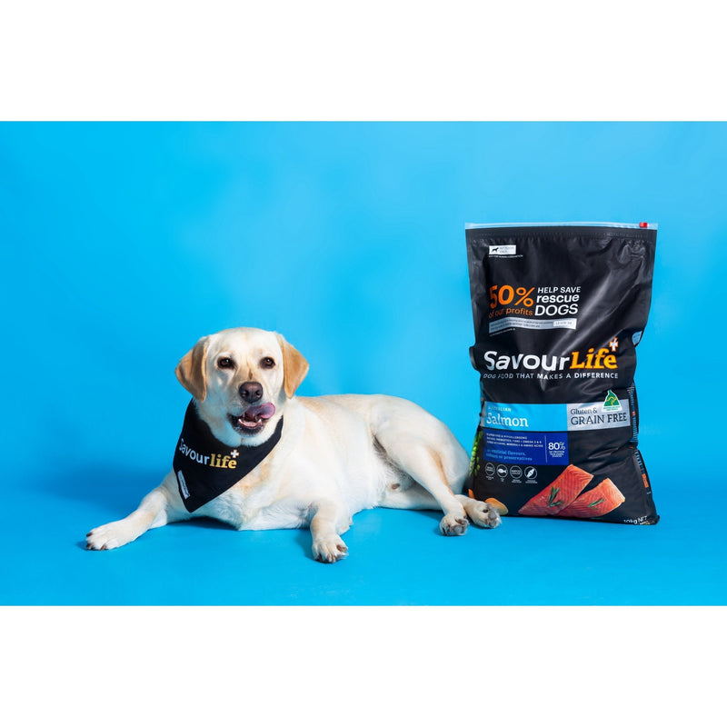 SavourLife Grain Free Dry Dog Food Salmon 10kg