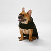 Snooza Dog Apparel Reversible Jacket Teddy Black Large ***