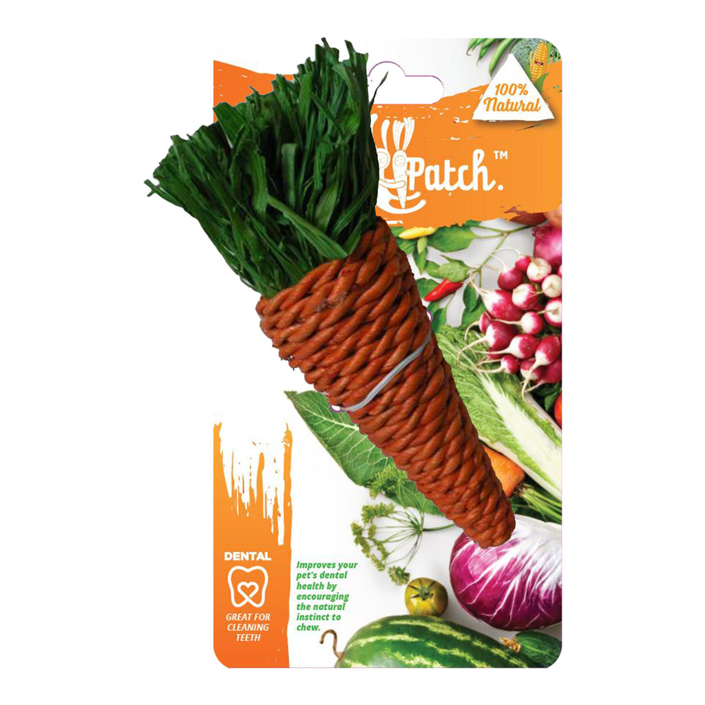 Veggie Patch Carrot Small Animal Chew Toy Large-Habitat Pet Supplies