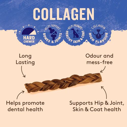 Wag Braided Collagen Stick Reguar Dog Chew Treat