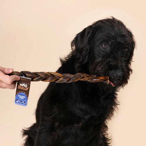 Wag Braided Collagen Stick Reguar Dog Chew Treat