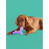 Yomp BallBone BPA Free Food Grade Silicone Dog Toy