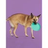 Yomp FetchFlyer Frisbee BPA Free Food Grade Silicone Dog Toy