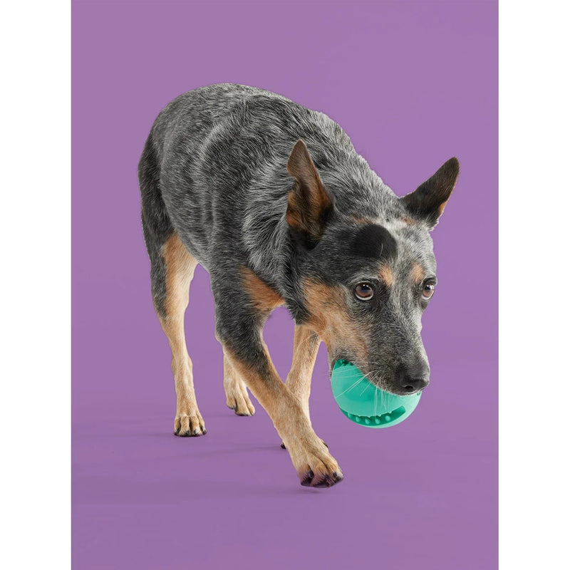 Yomp Snackin Ball BPA Free Food Grade Silicone Dog Toy