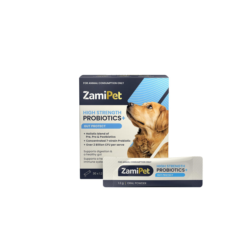 ZamiPet High Strength Probiotics Gut Protect for Dogs 30 Sachets^^^-Habitat Pet Supplies