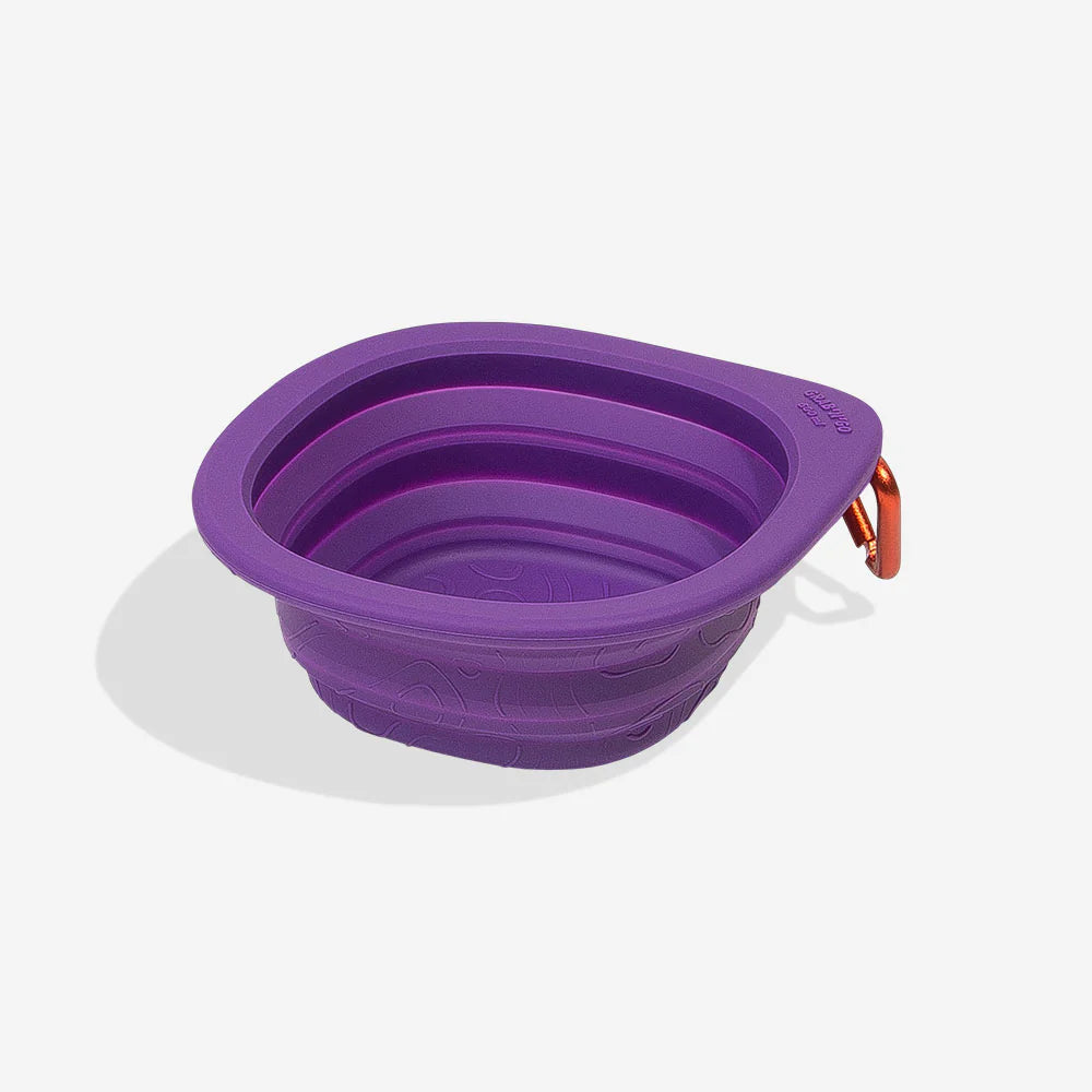 Zee.Dog Go Bowl Collapsible Silicone Travel Bowl Peak Purple-Habitat Pet Supplies