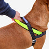 Zee.Dog Softer Walk Nox Reflective Dog Harness Large