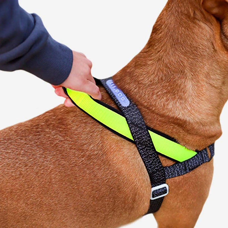 Zee.Dog Softer Walk Nox Reflective Dog Harness Large