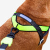 Zee.Dog Softer Walk Nox Reflective Dog Harness Medium