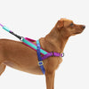 Zee.Dog Softer Walk Shockwave Dog Harness Medium