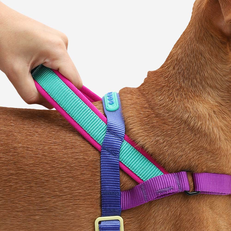 Zee.Dog Softer Walk Shockwave Dog Harness Medium