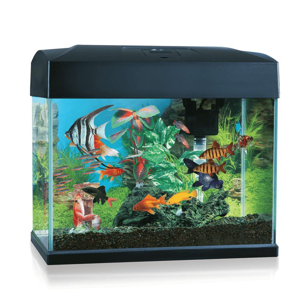 Blue Planet Classic Aquarium 20L***-Habitat Pet Supplies