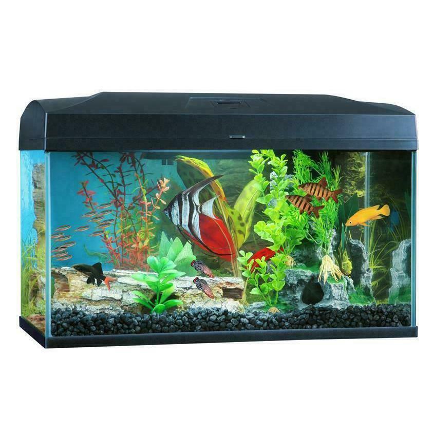 Blue Planet Classic Aquarium 50L-Habitat Pet Supplies