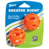 Chuckit Breathe Right Fetch Ball Small Dog Toy 2 Pack-Habitat Pet Supplies