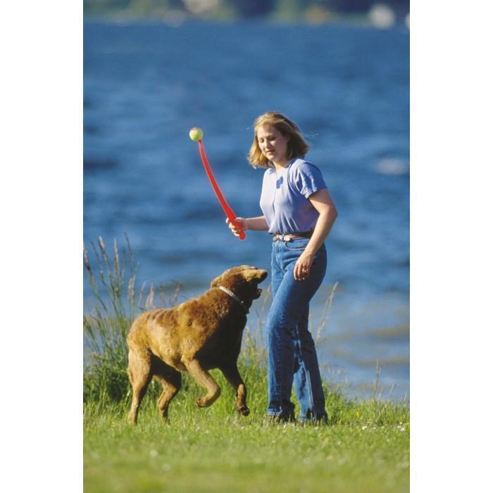 CHUCKIT! CLASSIC - Habitat Pet Supplies Altona & Chirnside Park