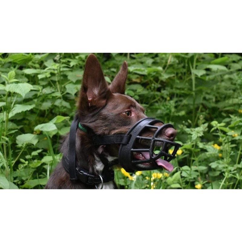 Company of Animals Baskerville Ultra Dog Muzzle Size 4