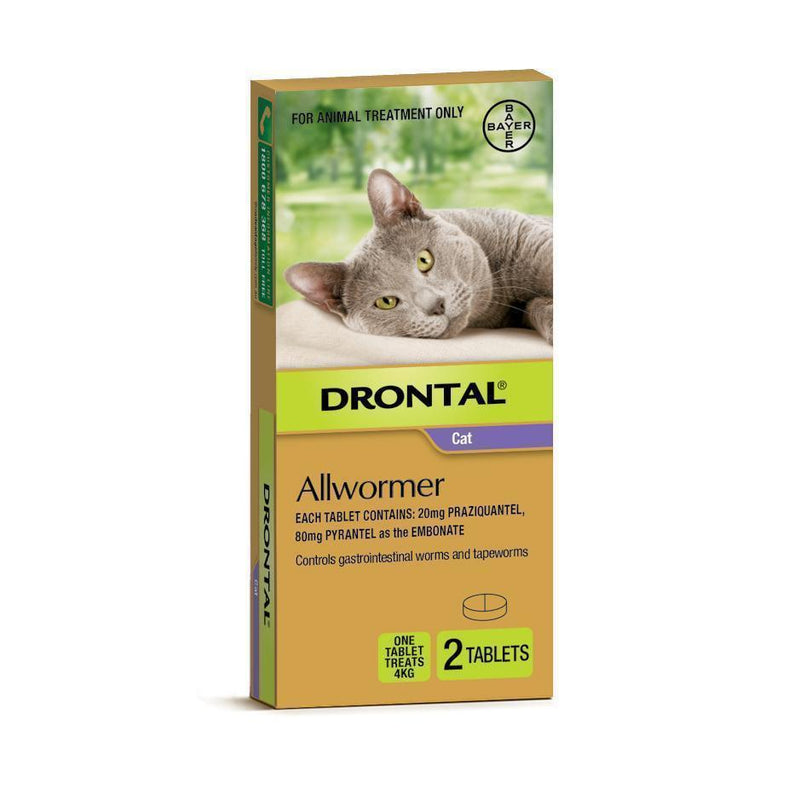 Drontal Allwormer Tablets for Cats Under 4kg 2 Pack-Habitat Pet Supplies