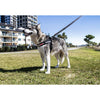 EzyDog Express Grey Dog Harness Extra Extra Large***