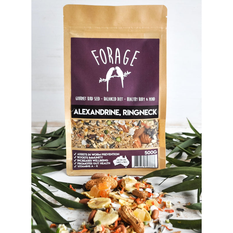 Forage Alexandrine Ringneck Gourmet Bird Seed 500g-Habitat Pet Supplies