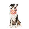 FuzzYard Cooling Bandana Two Cans Small Medium-Habitat Pet Supplies