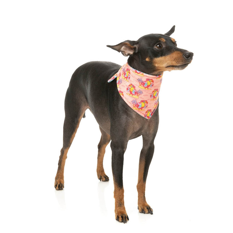 FuzzYard Cooling Bandana Two Cans Small Medium***