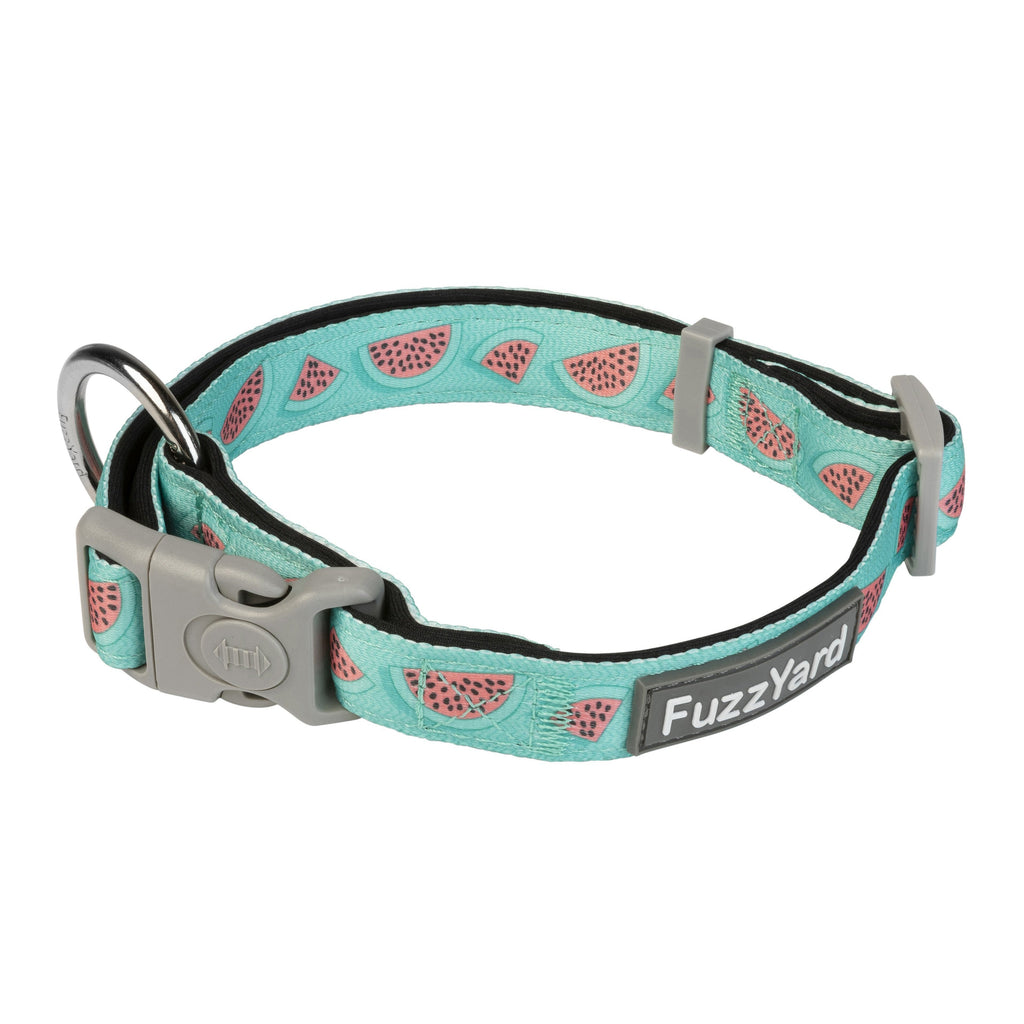 FuzzYard Dog Collar Summer Punch Medium***-Habitat Pet Supplies