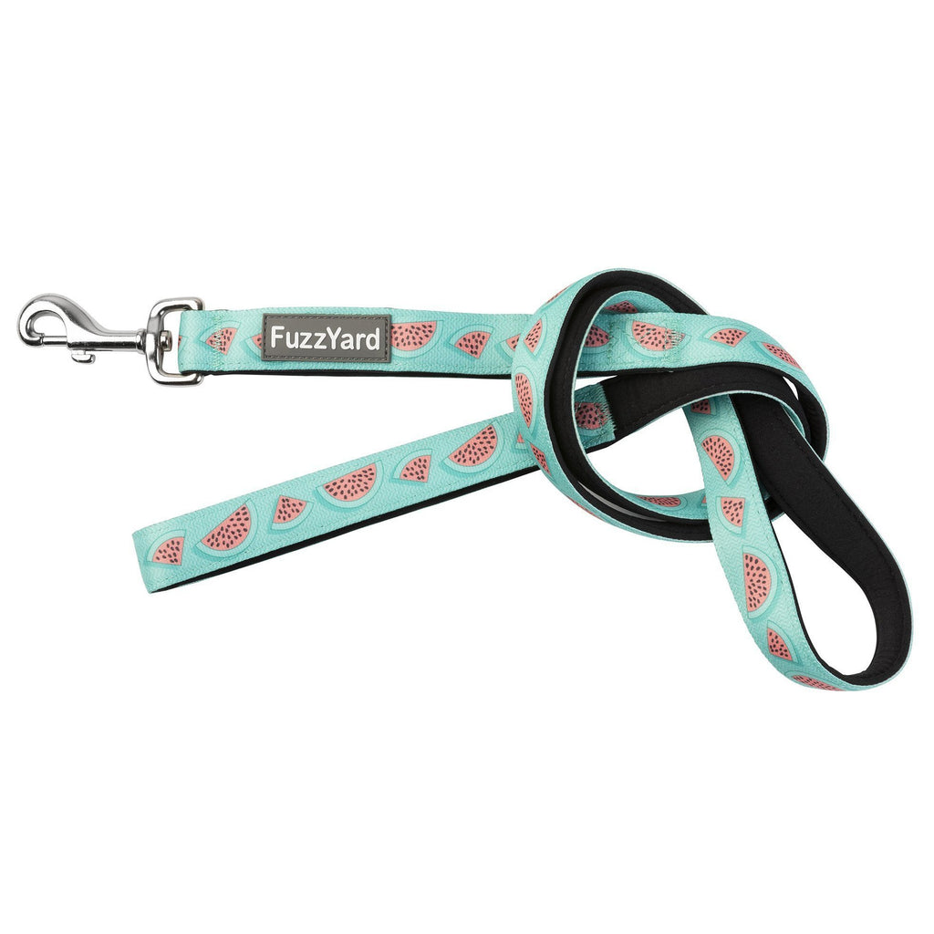 FuzzYard Dog Lead Summer Punch Small***-Habitat Pet Supplies