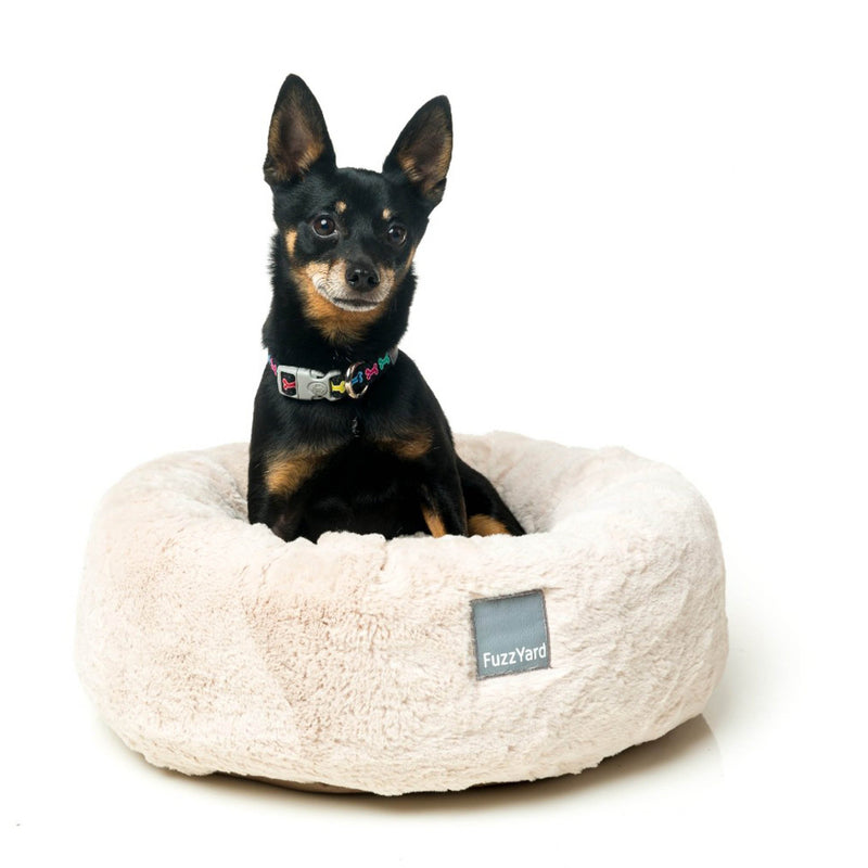 FuzzYard Dreameazzzy Dog Bed Cream Small