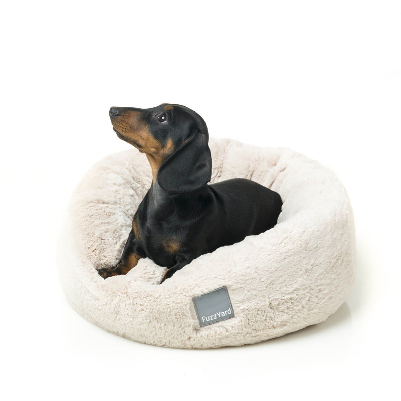 FuzzYard Dreameazzzy Dog Bed Cream Small