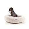 FuzzYard Dreameazzzy Dog Bed Cream Small