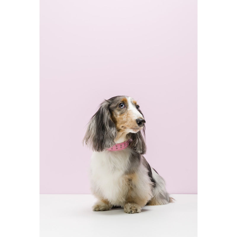 Gummi Bling Medium Pink Dog Collar*