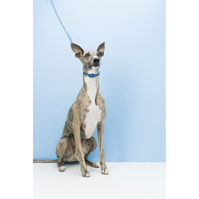 Gummi Slick Large Blue Dog Lead***