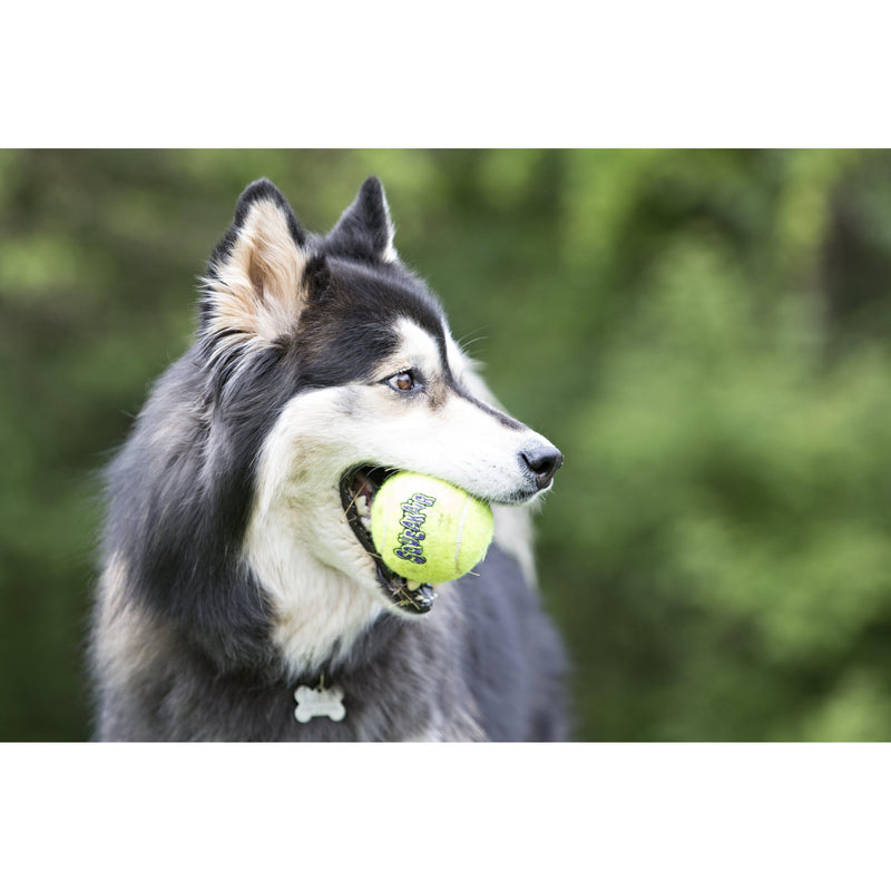 KONG AIRDOG SQUEAKER BALLS LARGE - Habitat Pet Supplies Altona & Chirnside Park