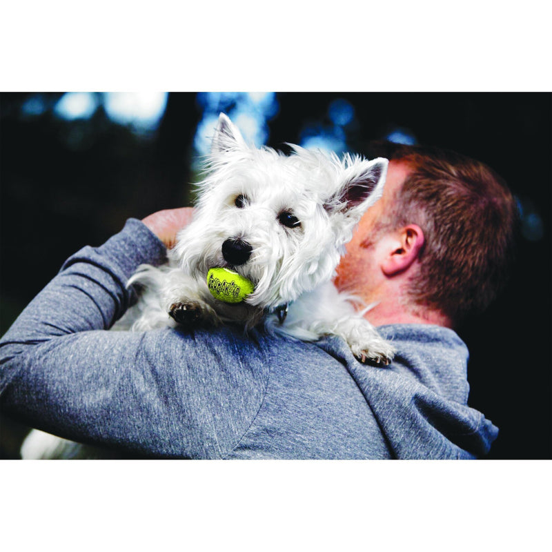 KONG AIRDOG SQUEAKER BALLS EXTRA SMALL - Habitat Pet Supplies Altona & Chirnside Park