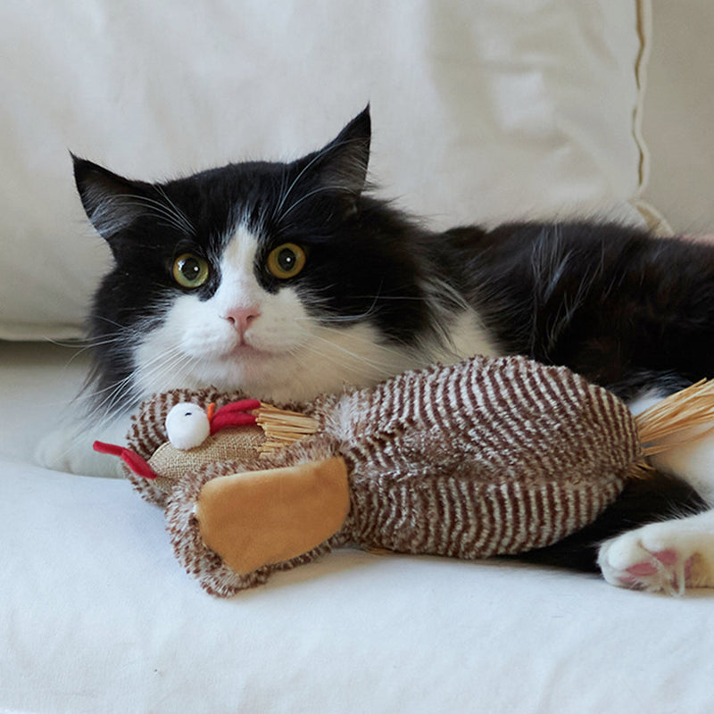 Kazoo Cheeky Chicken Cat Toy^^^