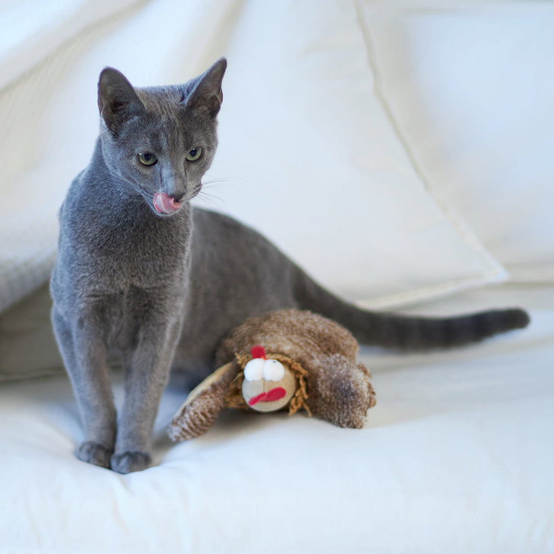 Kazoo Cheeky Chicken Cat Toy^^^