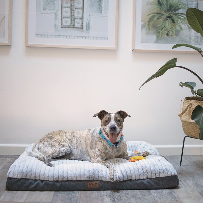 Kazoo Cloud Comfort Medium Grey Dog Bed*~*