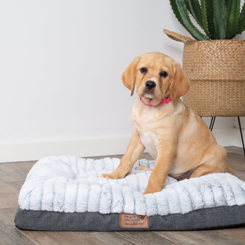 Kazoo Cloud Comfort Medium Grey Dog Bed*~*