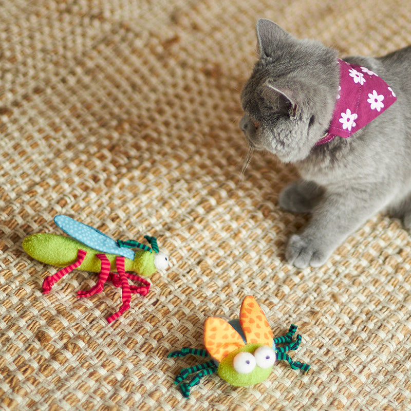 Kazoo Crinkle Bug Cat Toy^^^