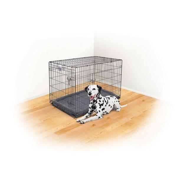 Kazoo Premium Dog Crate Extra Large***-Habitat Pet Supplies